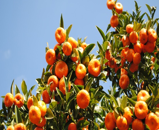 Sınırsız içerik ve tasarım özelleştirme özellikleri ile gelişmiş son panel dinamik yapı oluştur kolayca yönet teknik bilgi gerektirmeden firmanız hakkında sizi rakiplerinizden ayıracak profesyonel web tasarım scriptimizi çok uygun fiyata kullanın.